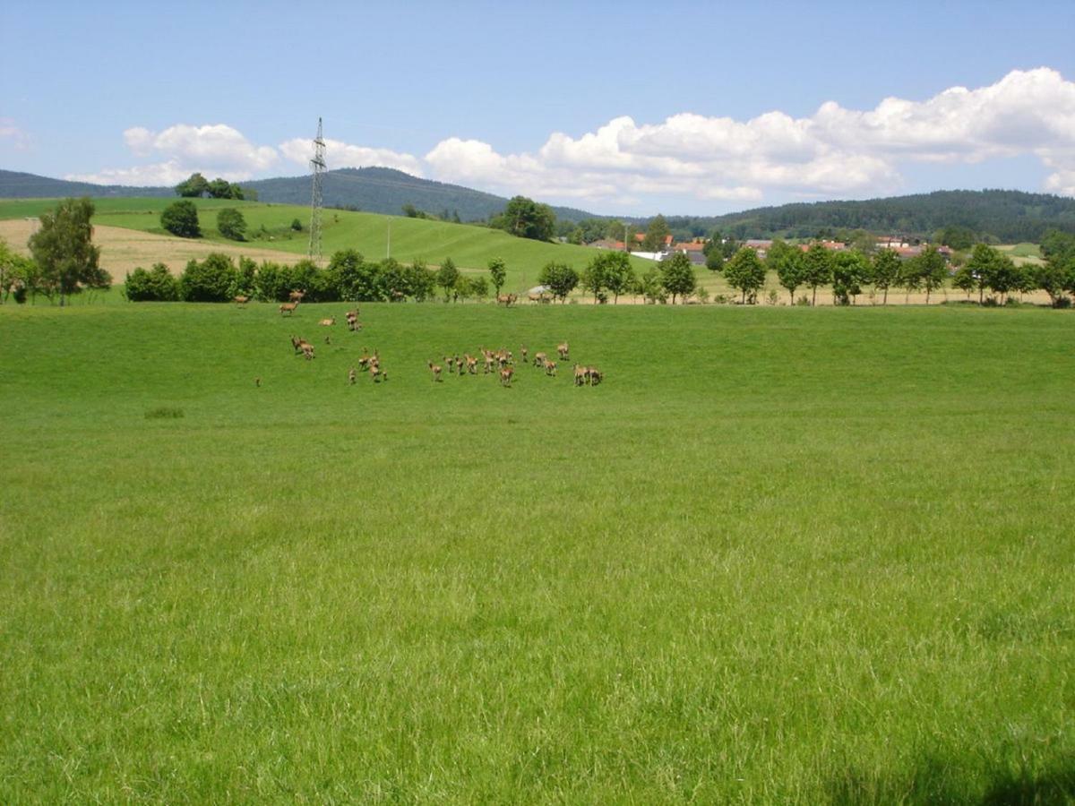 Gerda'S Ferienhaeuser Eppenschlag ภายนอก รูปภาพ