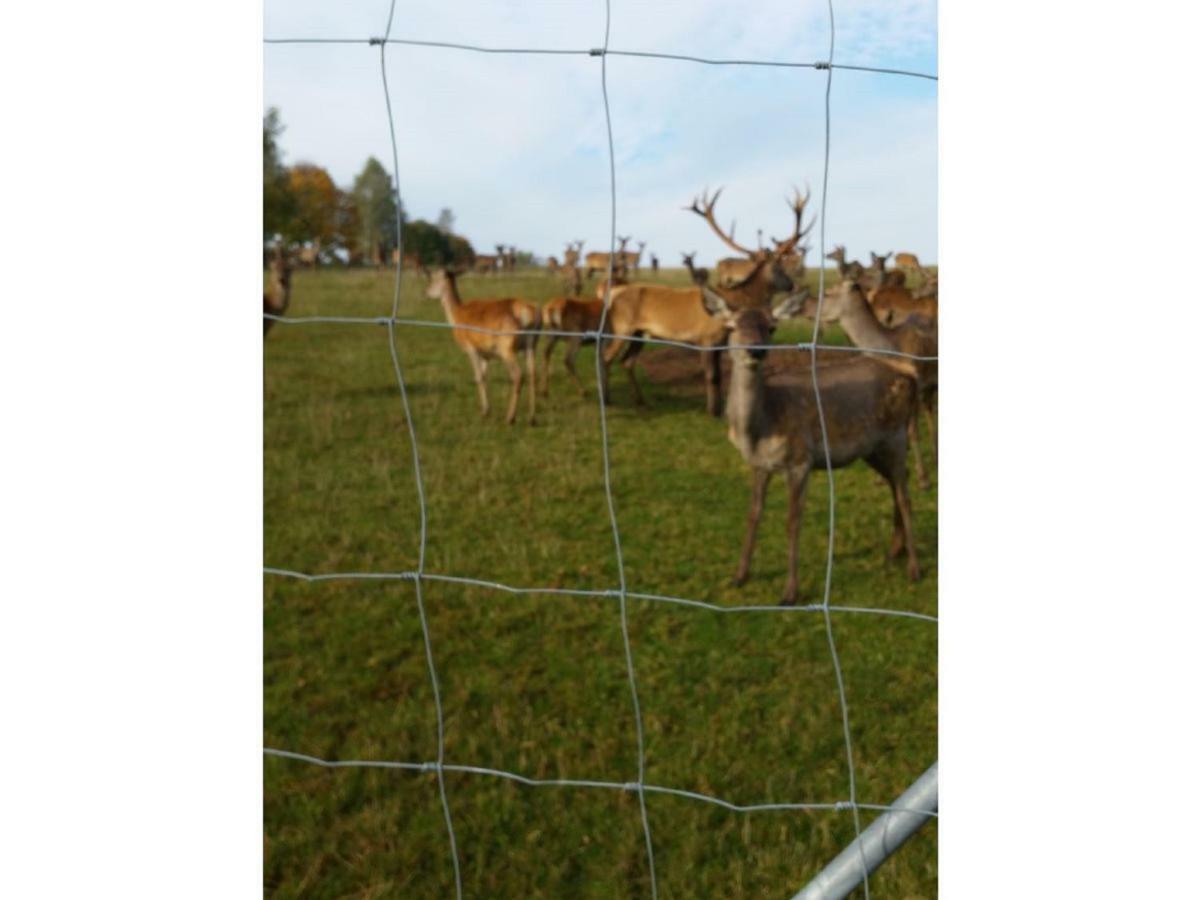 Gerda'S Ferienhaeuser Eppenschlag ภายนอก รูปภาพ